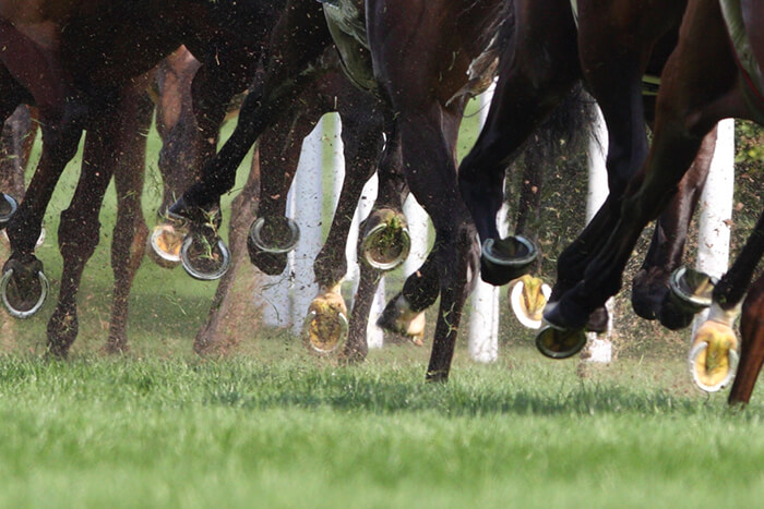 Horse Racing